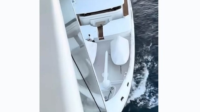 yacht hits cruise ship