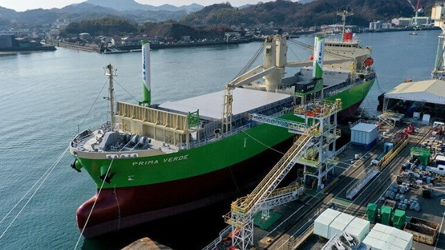 green bulk cargo ship