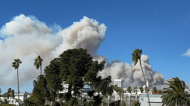 The initial stages of the fire in Pacific Palisades, January 7 (City of Santa Monica)